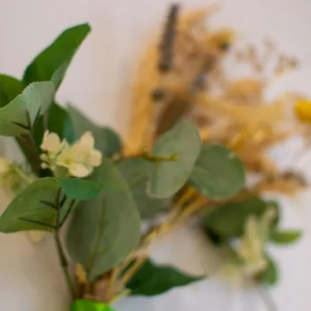 Logis Des Barques Yourhosthelper *